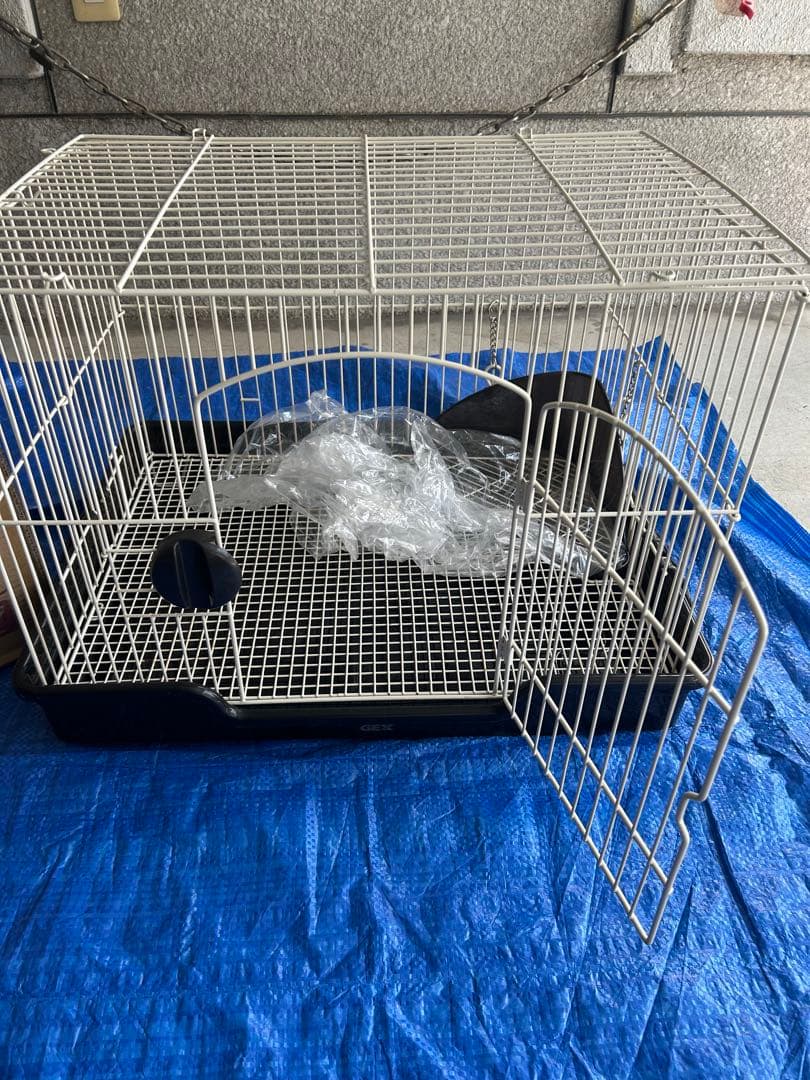 GEX フラットフロア62 小動物飼育用ケージ　ファンシーラット　うさぎ