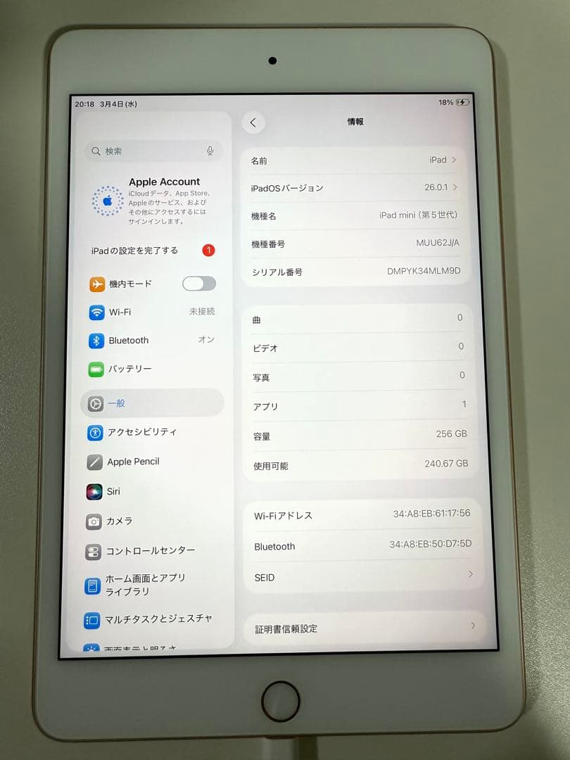 iPad mini （第5世代） 256GB Wifiモデル ゴールド 美品