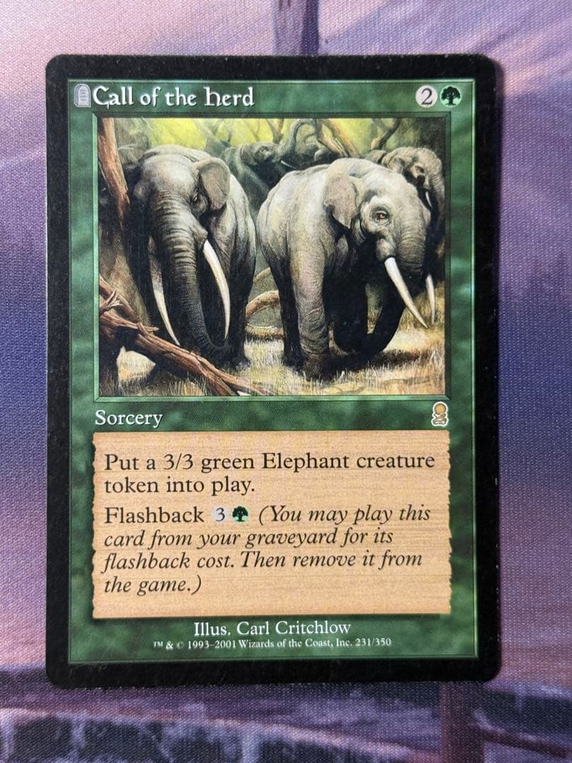 MTG/ODY/獣群の呼び声/日英英/計3枚