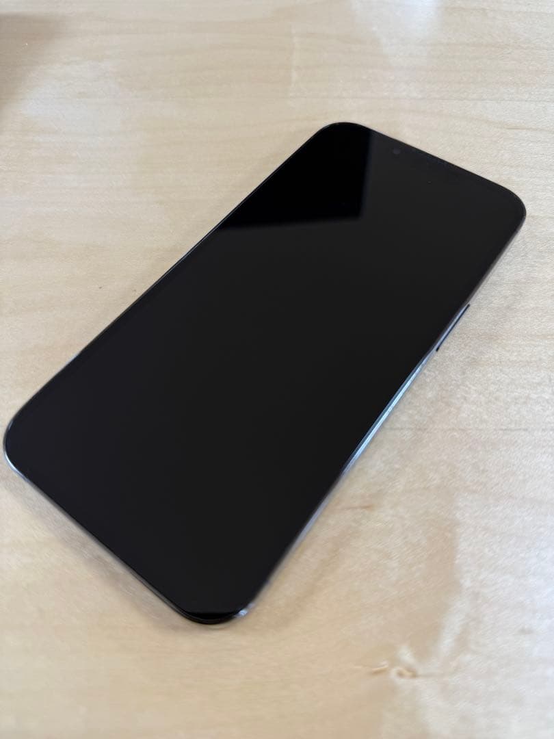 【しろくまさん様】Apple iPhone 13 Pro グラファイト 256G