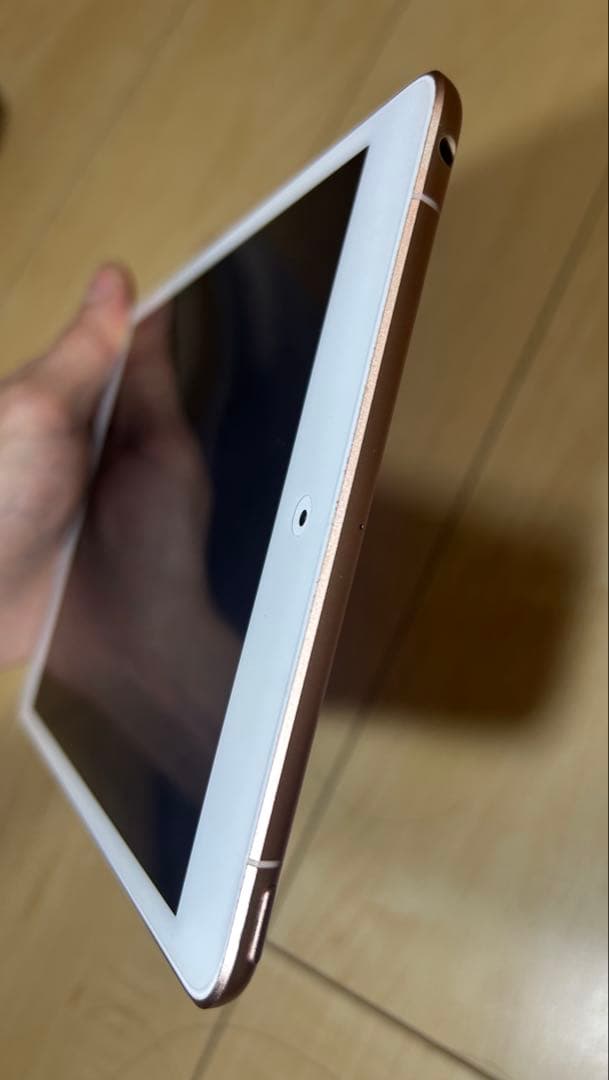 iPad mini (第5世代) 64GB Wi-Fi + Cellular