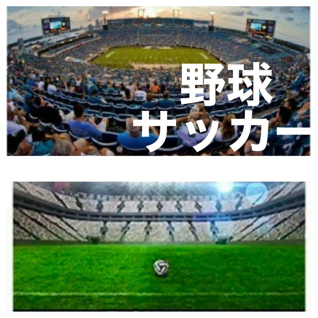 即決OK！カメラ初心者OK！SONYミラーレスカメラをお持ちの方におすすめレンズ