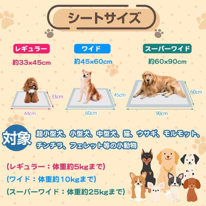 まっちゃん