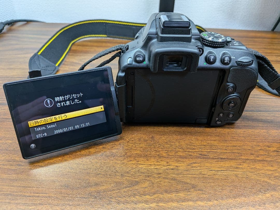 Nikon D5300 AF-S 18-55mmVR シャッター回数少 極上美品