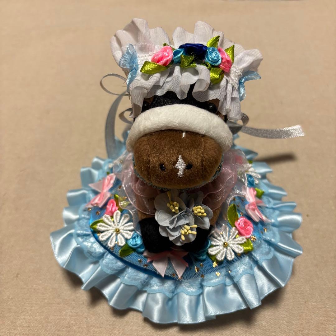 アイドル❣️ホース❣️ドレス❣️マント❣️