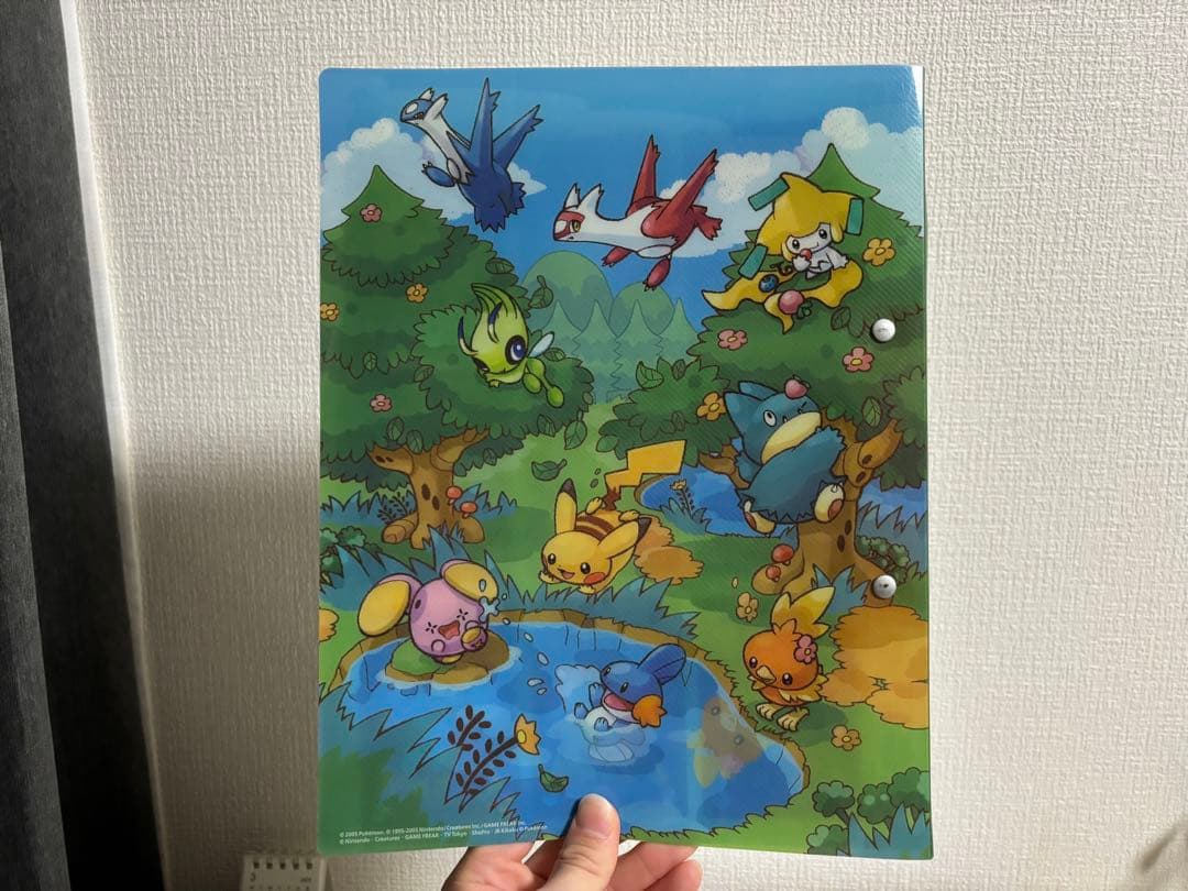 ポケモンカードゲーム プレミアムファイル　2005 ポケパーク限定　カード９枚