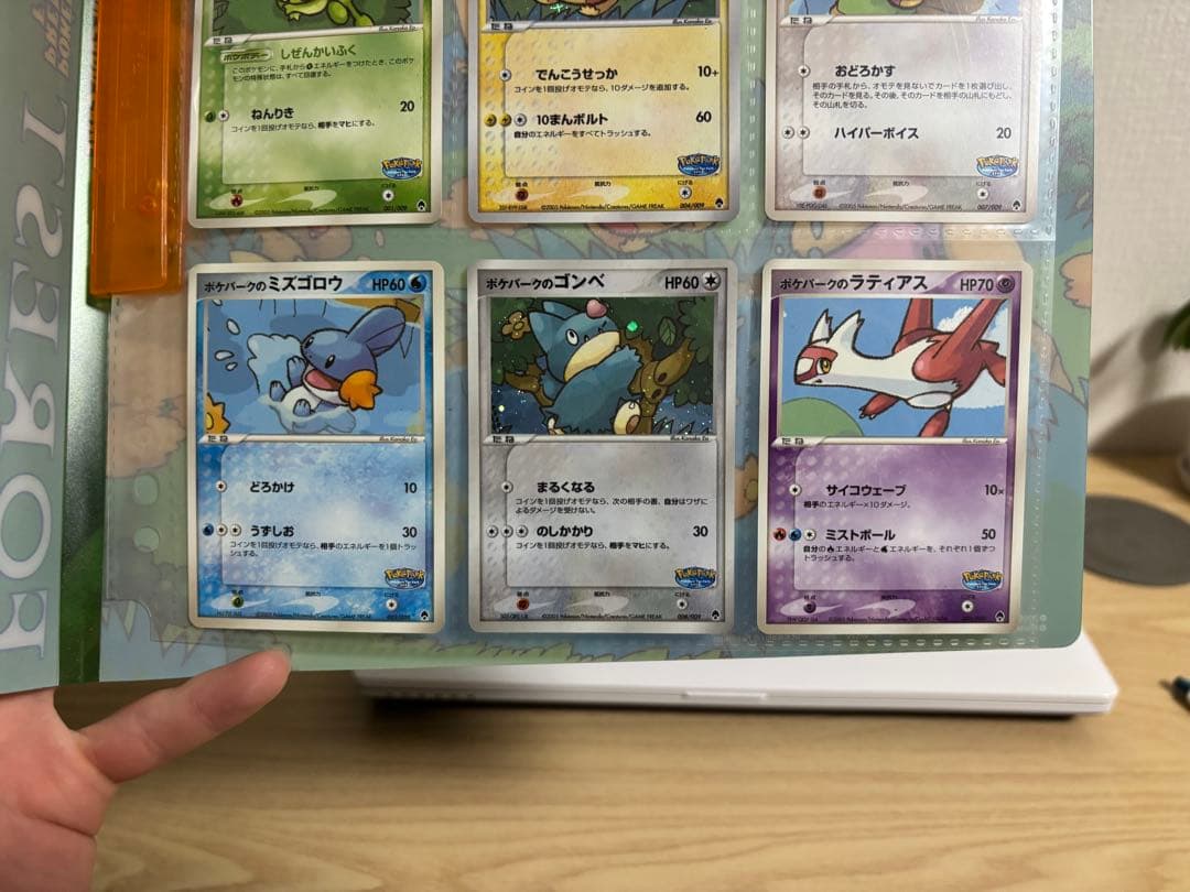 ポケモンカードゲーム プレミアムファイル　2005 ポケパーク限定　カード９枚