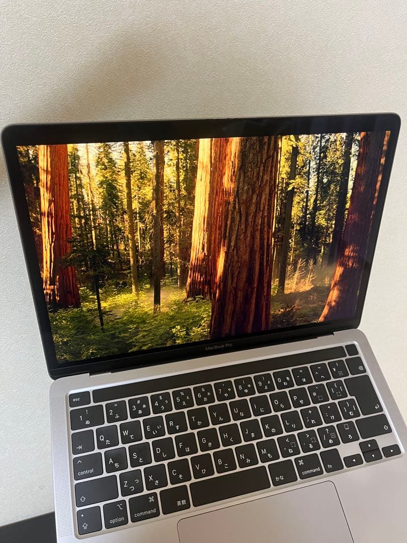 MacBook本体 Apple MacBook Pro 13-inch 1TB 2020 intel