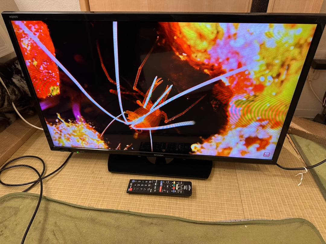 SHARP シャープ　32型　テレビ 2T-C32AE1 2019年製　超美品！