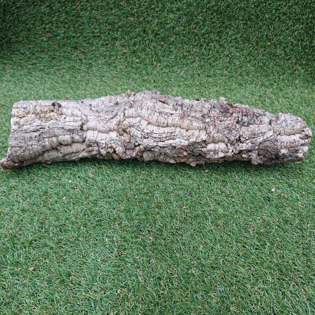 コルク樹皮　ポルトガル産　 筒状　約60cmｘ約13cm　爬虫類　シェルター