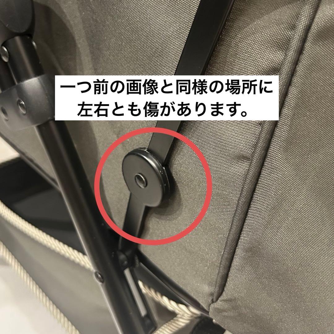 未使用品　わんわんカート　多頭用DXplus ストライプグリーン　ペットカート