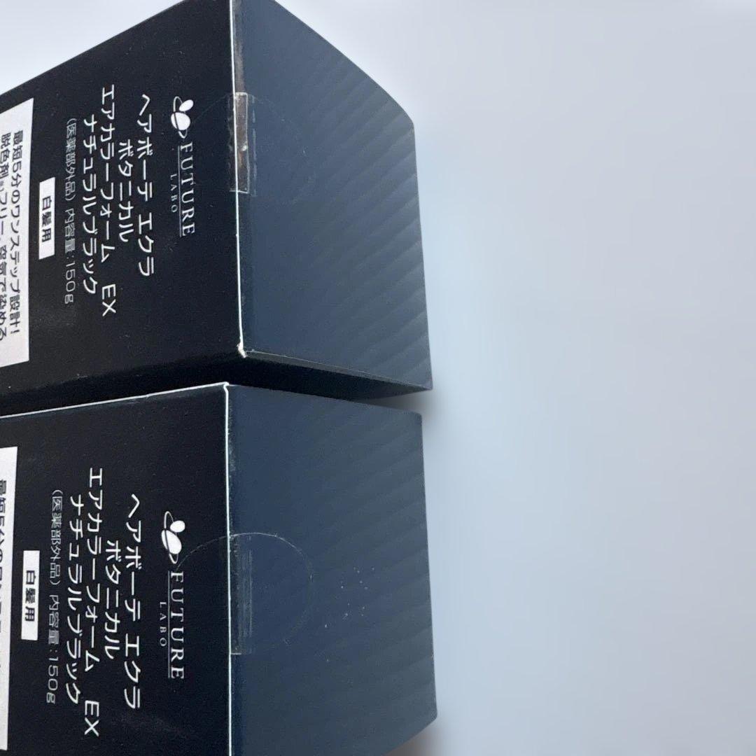 ヘアボーテ　エクラ　ボタニカルエアカラー フォーム 大容量2本セット　ブラック