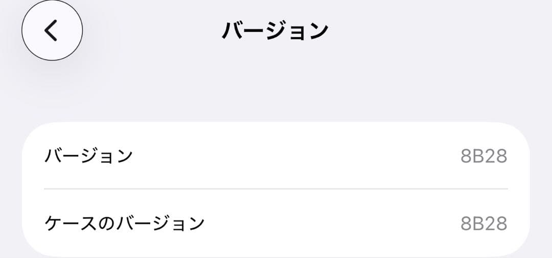 左耳のみ Airpods pro2 A3048
