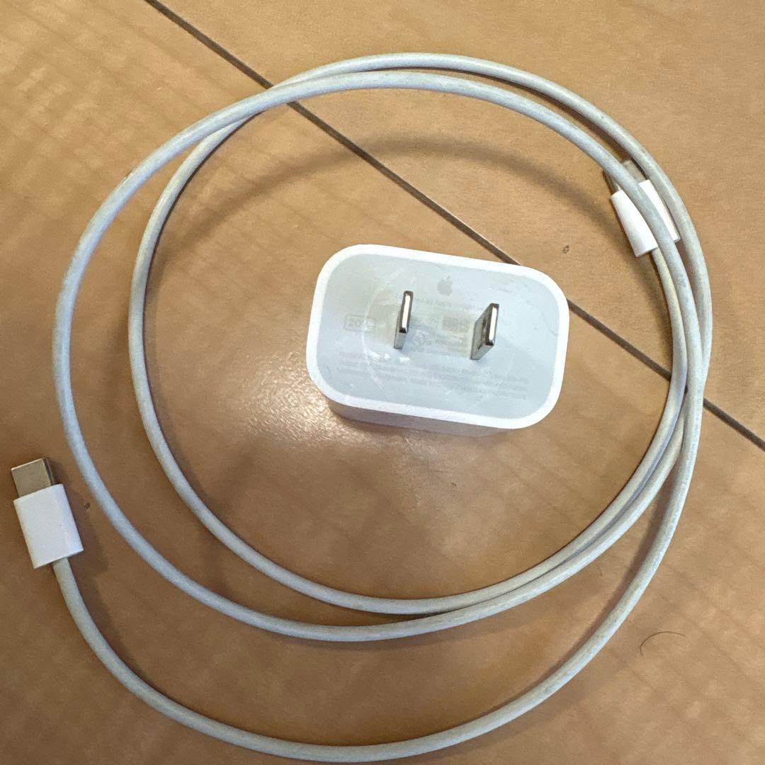 iPad Air (第4世代) Wi-Fi 256GBスカイブルー ケーブル紙袋
