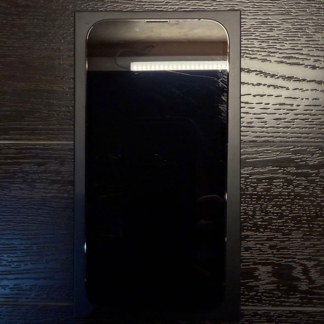 iPhone 13 pro 256GB グラファイト SIMフリー
