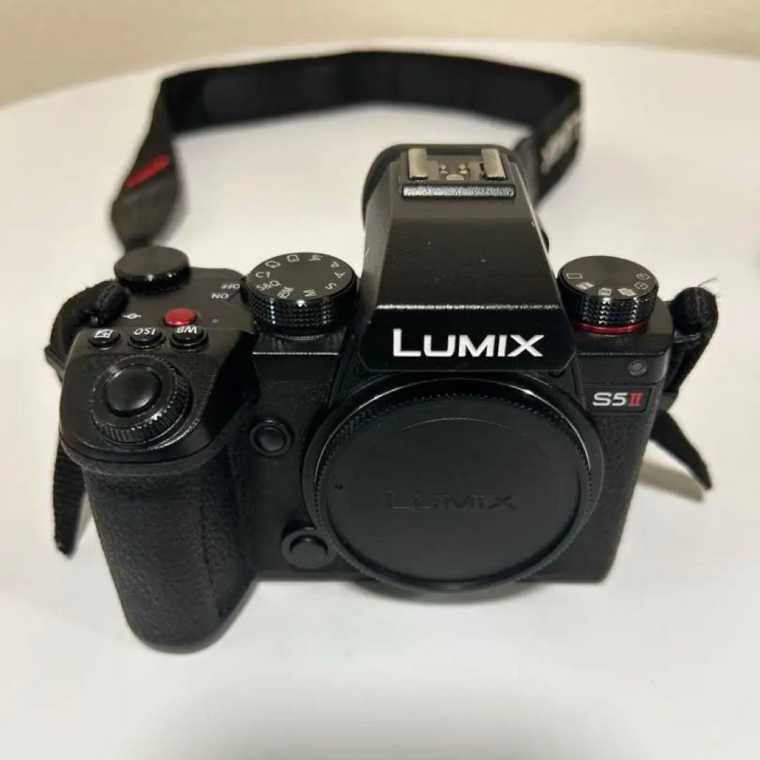 LUMIX S5 II 20-60mm F3.5-5.6 本体＋レンズ