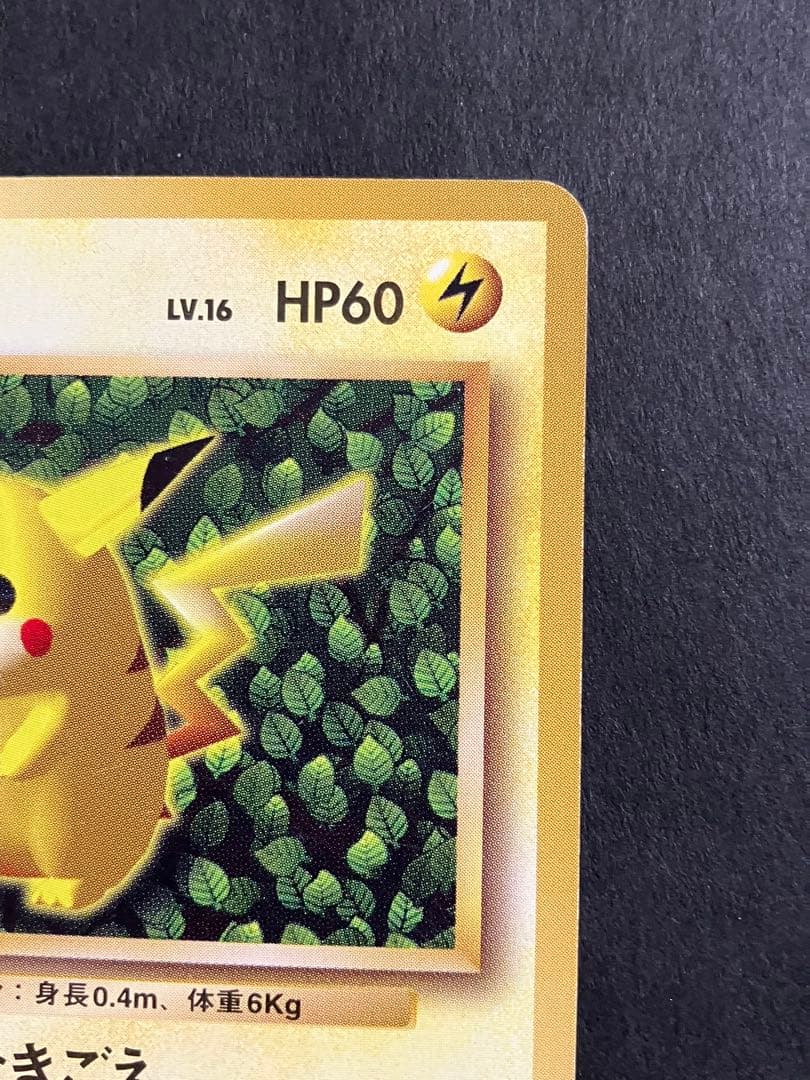 ポケモンカード ピカチュウ 旧裏 マークなし すぐわかるポケモンカードの遊びかた
