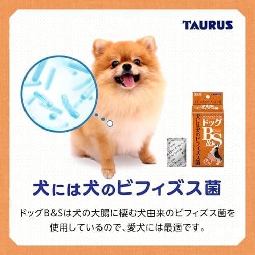 トーラス ペット愛犬用 犬由来ブフィズス菌 ドッグB&S 超お徳用1ｇ×72MM