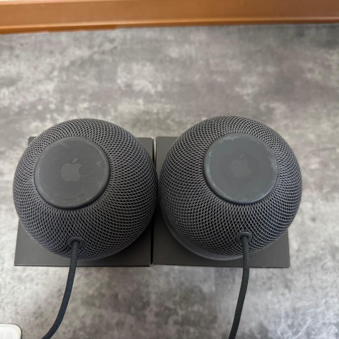 Apple Pod mini ペアセット