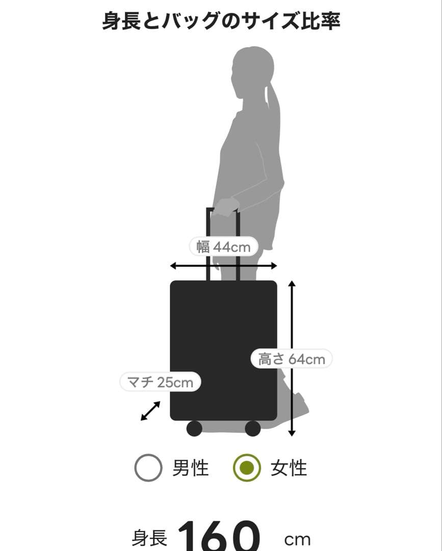 ACE HaNT ノートル　キャリーケース　50L エース　スーツケース