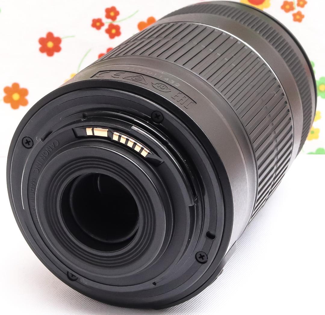 Canon EF-S 55-250mm IS II☆遠くの笑顔も残せる望遠レンズ