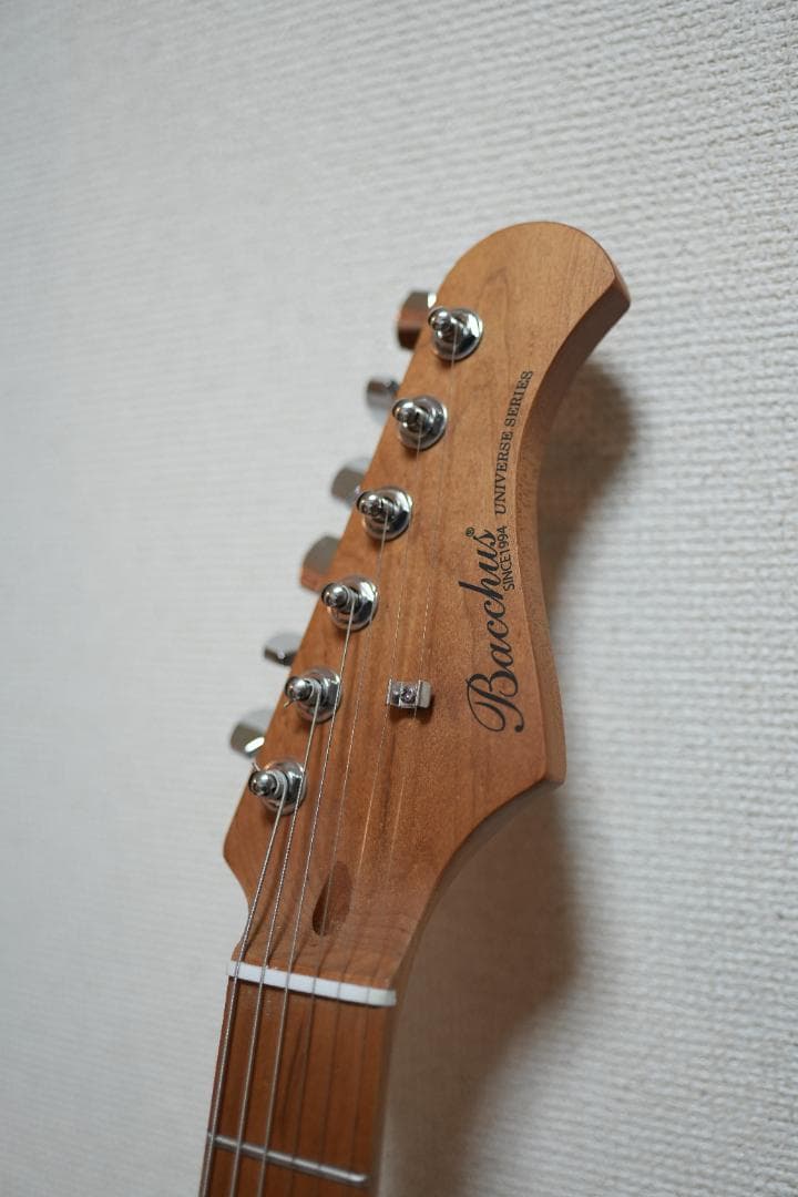 ギター Bacchus GS-2DX RSM/M BLK