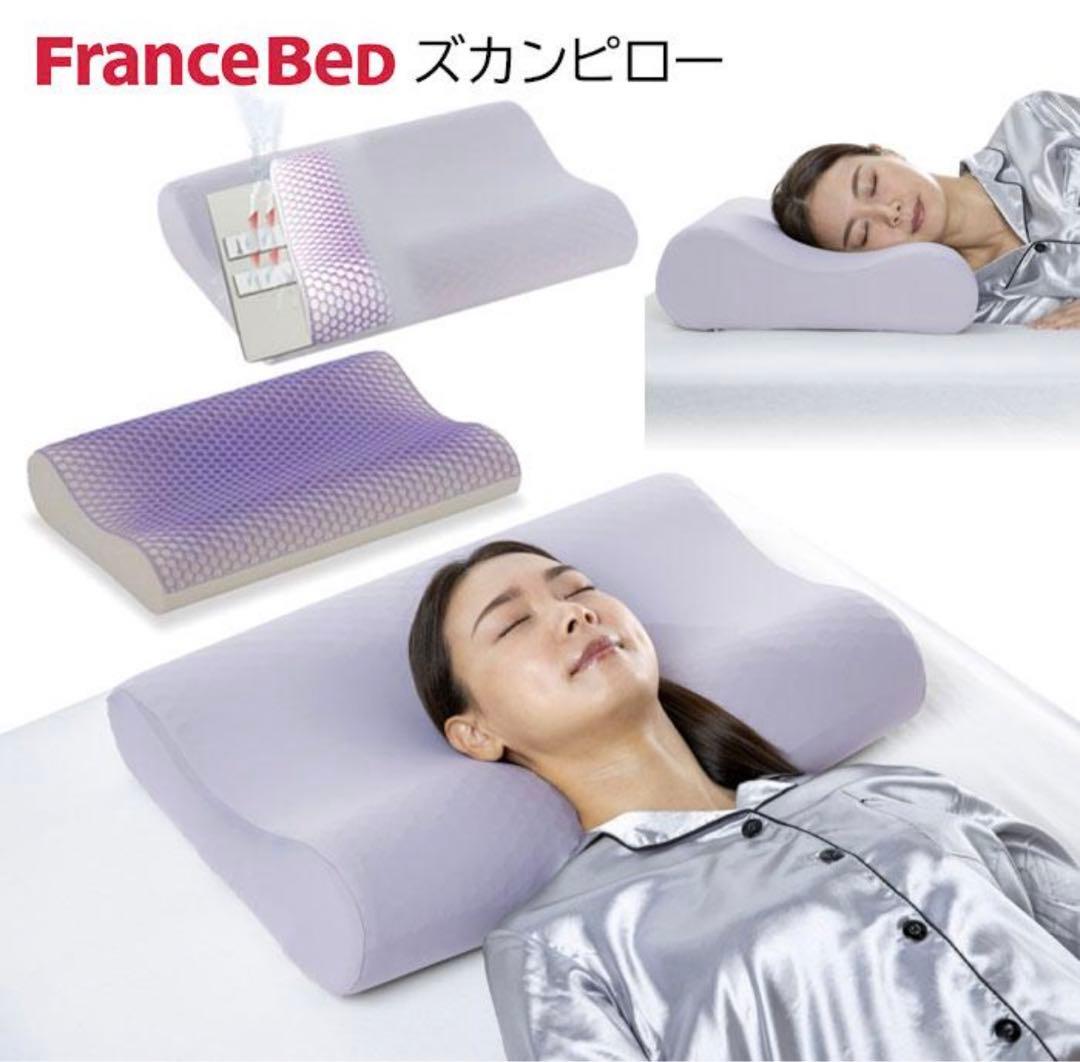 FranceBed ZUKANテクノロジー 保冷枕　ズカンピロー　フランスベッド