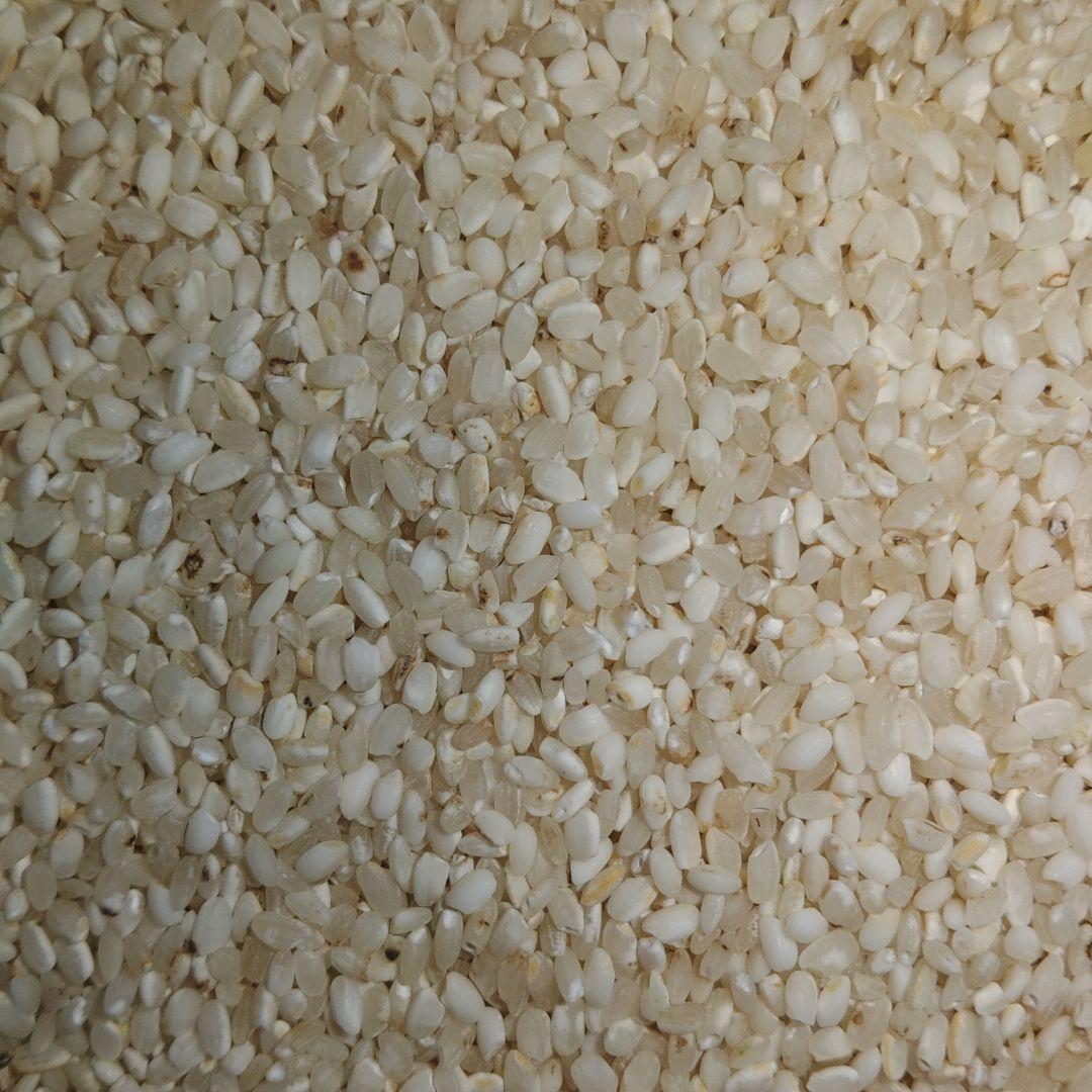 くず米　20kg　【飼料用】※説明欄必読