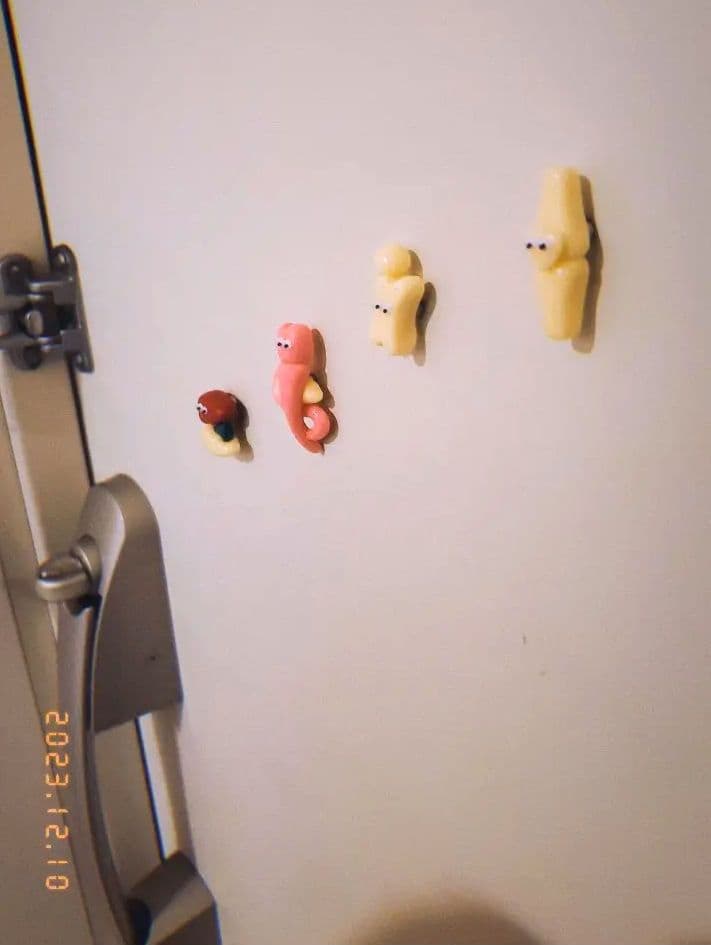 臓器　マグネット　ハンドメイド