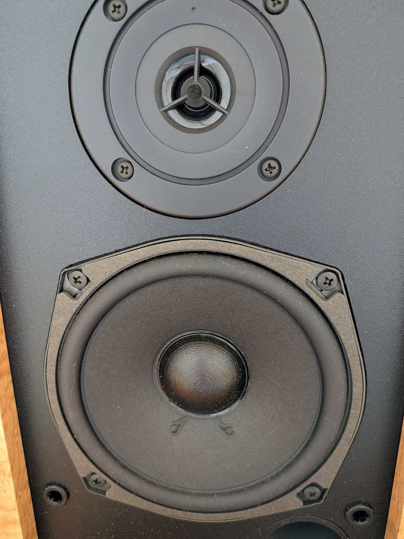DIATONE DS-B1 P-610の流れを汲む設計
