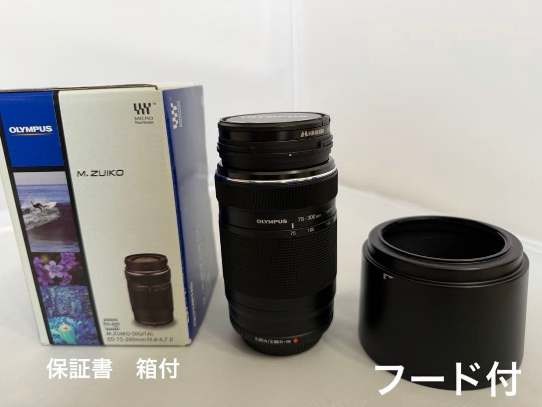 美品フルセットOLYMPUS OM-D E-M5 Mark2 Proレンズ付