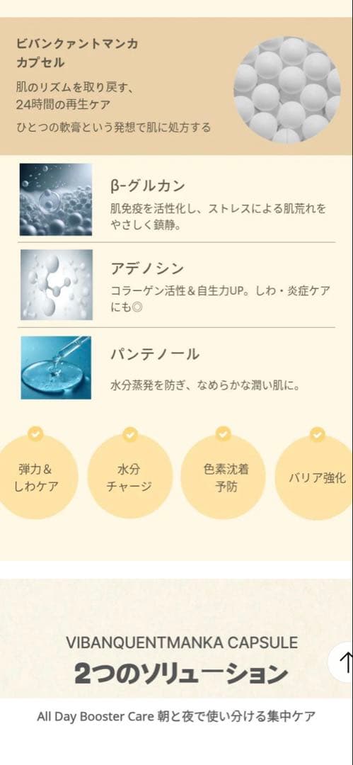 【韓国正規品】ビバンクエントマンカカプセルクリーム　リニューアル版（旧プルイノ）
