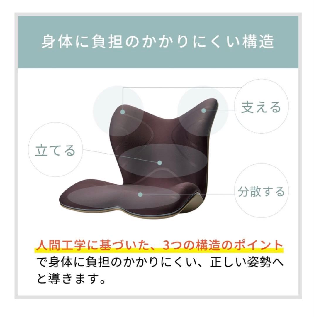 Style PREMIUM （スタイルプレミアム）骨盤矯正イス グレー