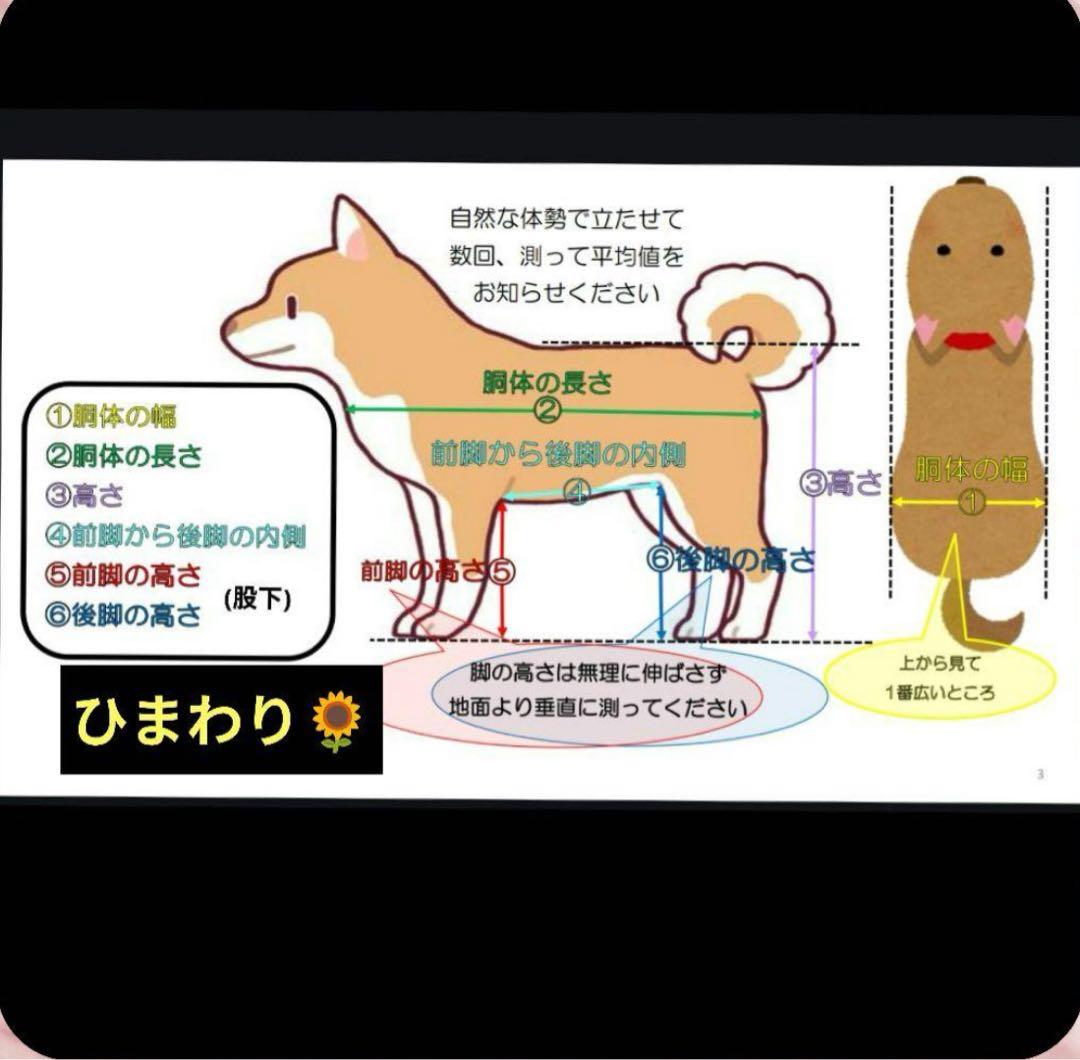 犬の歩行器（四輪）とグル活セット、顎のせ付