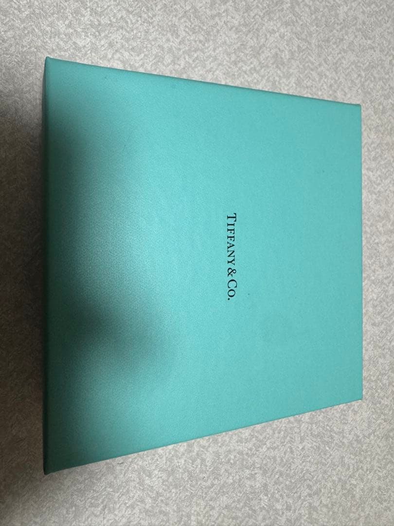 Tiffany & Co. ティファニーブルー首輪　L size