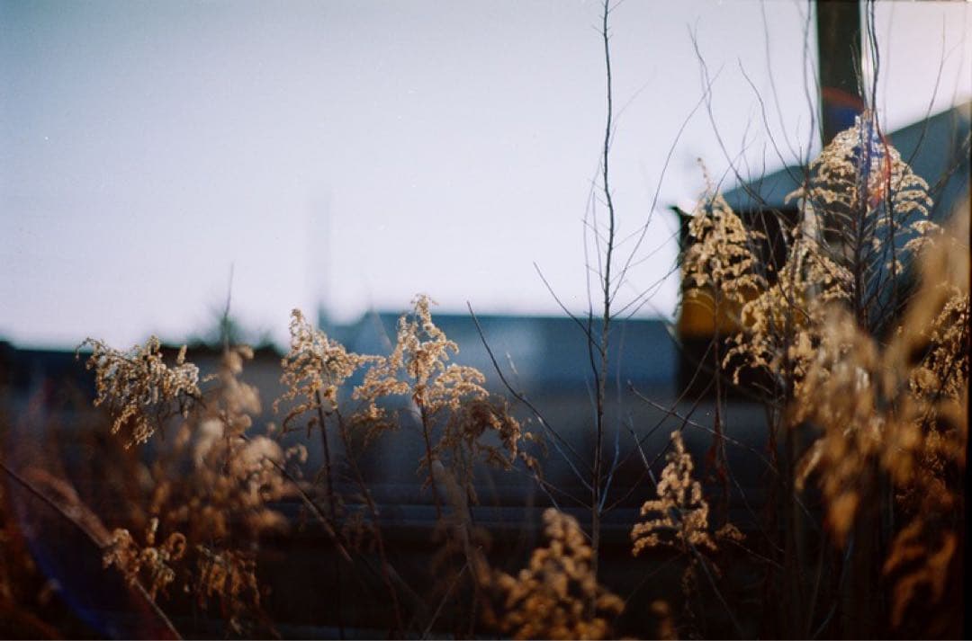 MINOLTA α-9、AF 50mm F1.4、ストロボ、ストラップほかおまけ