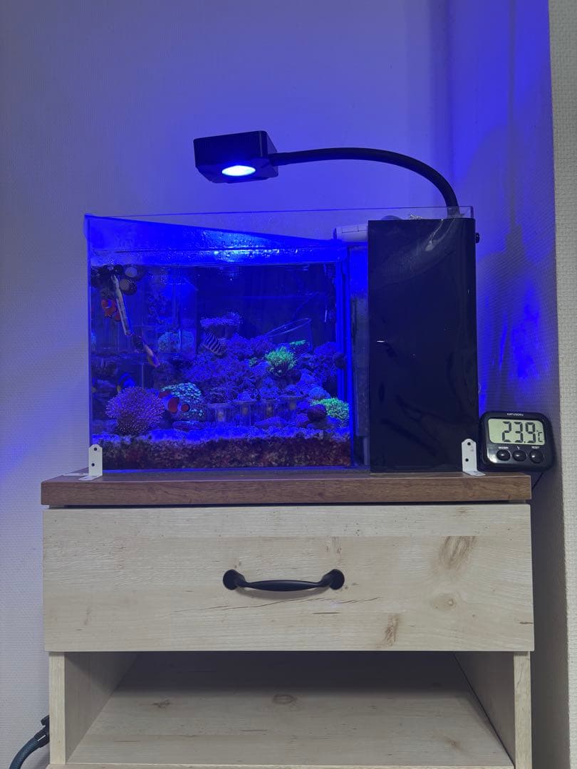 【引取限定】日海センターアクリル水槽フルセット