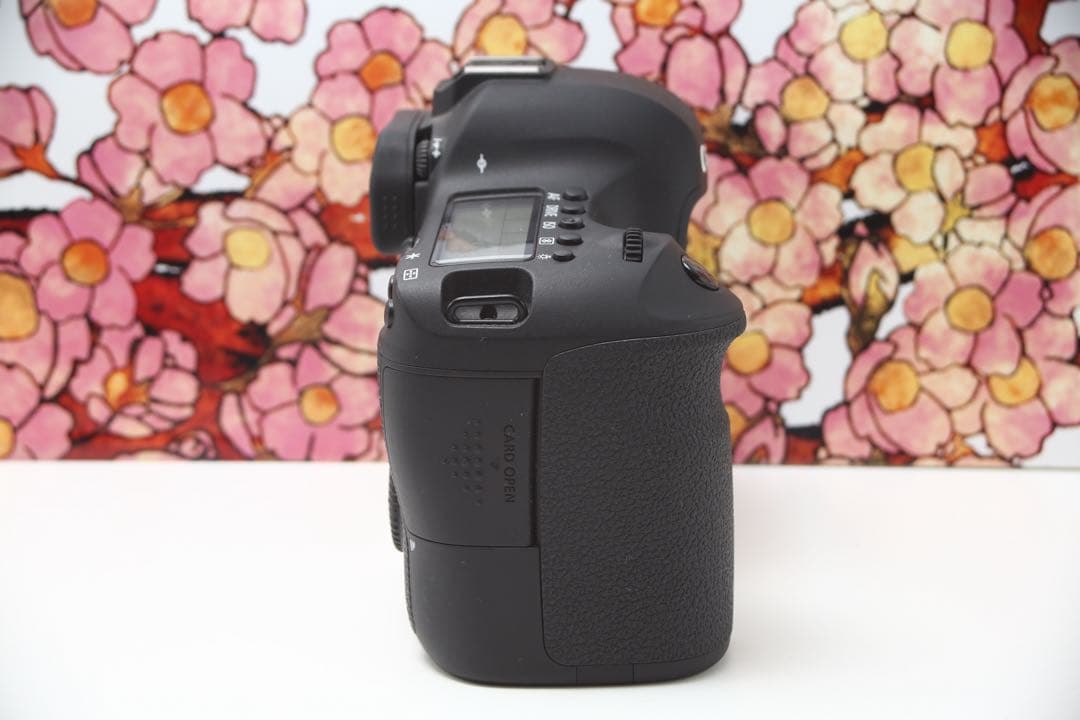 ❤フルサイズエントリー機❤️キヤノン EOS 6D❤️