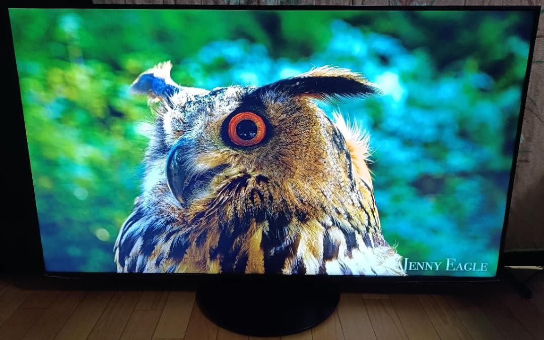 2020年 PanasonicVIERA 55V型 TH-55HX950