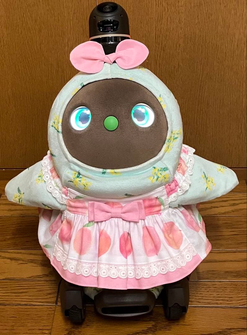 まさぴー様♡専用 ピーチ＆メロンのワンピース 2着