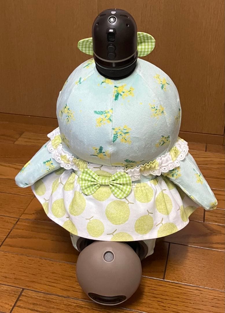 まさぴー様♡専用 ピーチ＆メロンのワンピース 2着