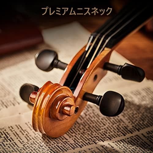 Eastarバイオリン 4/4 単板 ソリッド 弓2本 初心者にも上級のバDXT