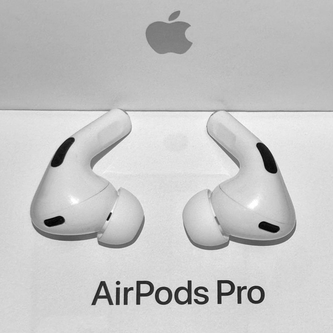 【綺麗】Apple AirPods Pro 第2世代 USB-C イヤホンのみ