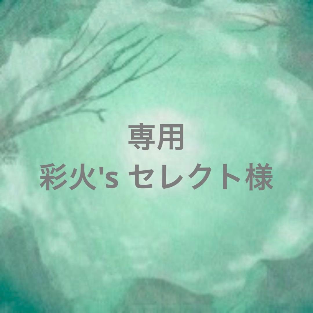 ②専用ページ 専用ページ 彩火's セレクト@プロフ必読・代行×様