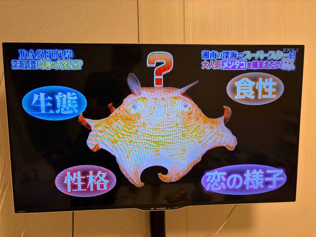 SHARP AQUOS 40型テレビ 2015年製　テレビ台セット売りです。