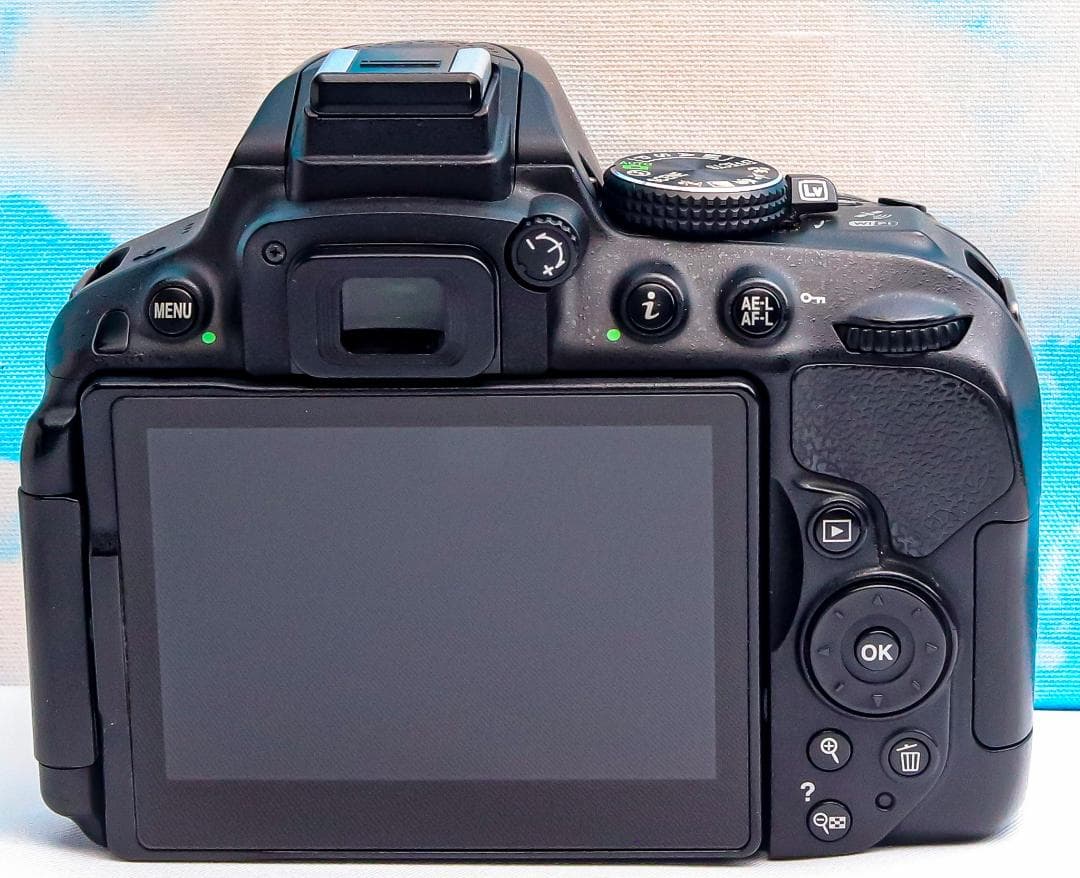 ニコン Nikon D5300⭐️WIFI機能搭載！⭐️一眼レフ⭐️おまけ多数