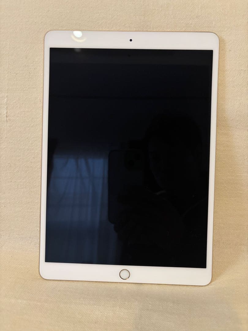 iPad Pro 10.5インチ 256GB Wi-Fiモデル