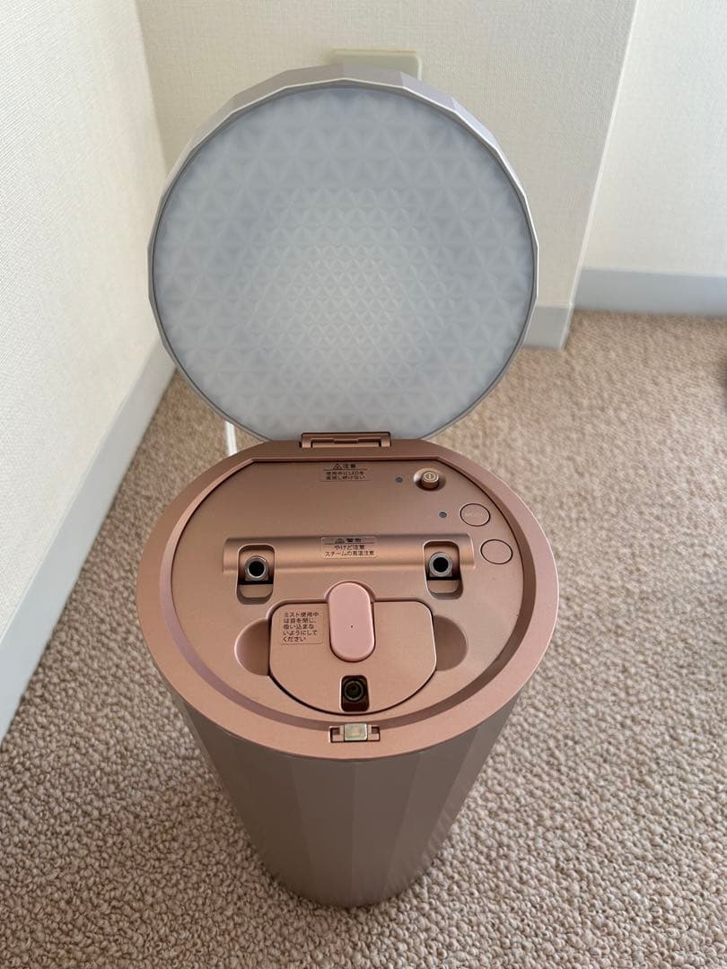 YA-MAN 美顔器スチーマー フォトケア IS-100P ローズゴールド