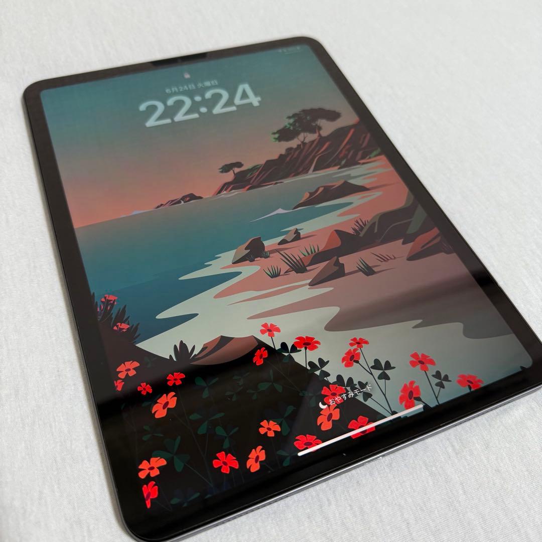 ★美品★iPad Pro 11インチ 第1世代 64GB Wi-Fiモデル