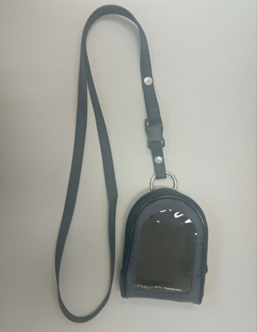 RADCOUNTER DC-100 空間線量器 放射線測定器